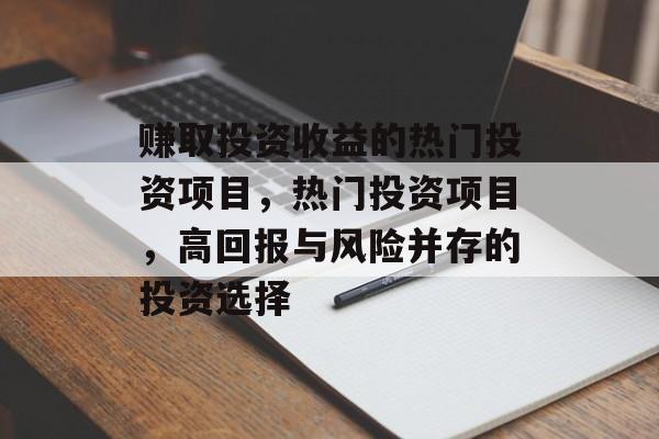 赚取投资收益的热门投资项目,热门投资项目,高回报与风险并存的投资选择 赚取投资收益的热门投资项目,热门投资项目,高回报与风险并存的投资选择