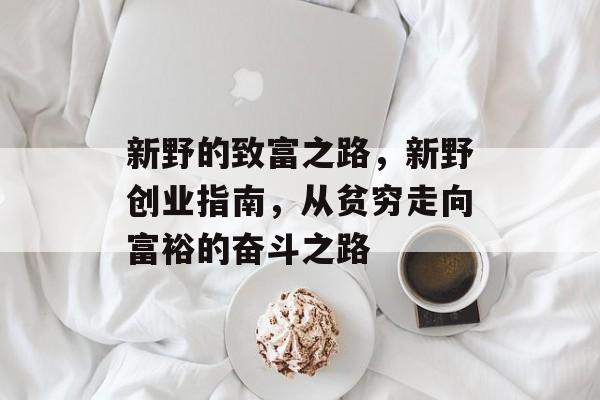 新野的致富之路，新野创业指南，从贫穷走向富裕的奋斗之路