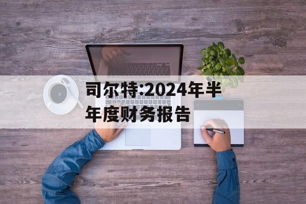 司尔特:2024年半年度财务报告