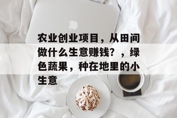 农业创业项目,从田间做什么生意赚钱?,绿色蔬果,种在地里的小生意 农业创业项目,从田间做什么生意赚钱?,绿色蔬果,种在地里的小生意