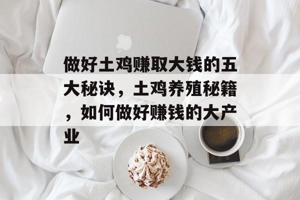 做好土鸡赚取大钱的五大秘诀,土鸡养殖秘籍,如何做好赚钱的大产业 做好土鸡赚取大钱的五大秘诀,土鸡养殖秘籍,如何做好赚钱的大产业