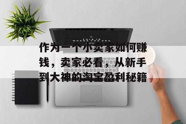 作为一个小卖家如何赚钱,卖家必看,从新手到大神的淘宝盈利秘籍 作为一个小卖家如何赚钱,卖家必看,从新手到大神的淘宝盈利秘籍