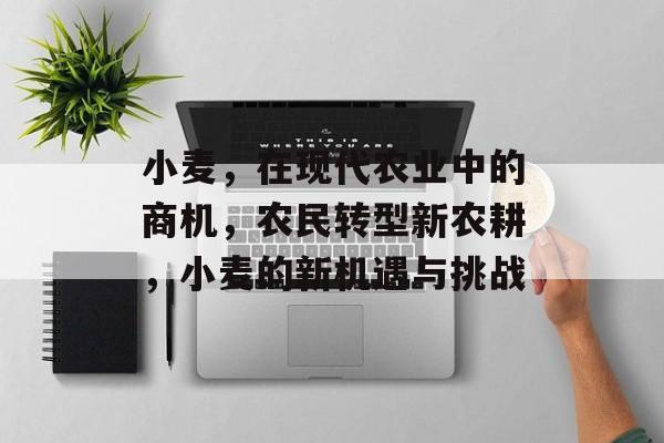 小麦,在现代农业中的商机,农民转型新农耕,小麦的新机遇与挑战 小麦,在现代农业中的商机,农民转型新农耕,小麦的新机遇与挑战