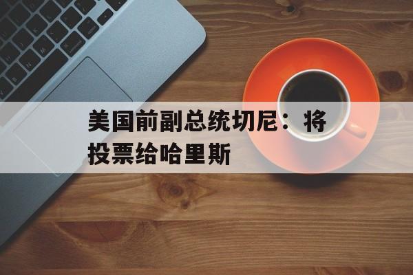 美国前副总统切尼:将投票给哈里斯 美国前副总统切尼:将投票给哈里斯