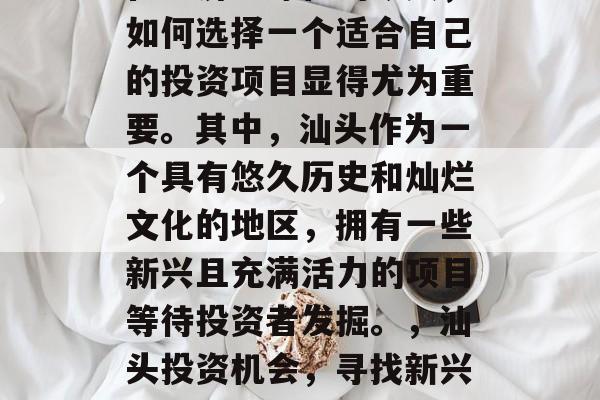 在经济全球化的今天,如何选择一个适合自己的投资项目显得尤为重要。其中,汕头作为一个具有悠久历史和灿烂文化的地区,拥有一些新兴且充满活力的项目等待投资者发掘。,汕头投资机会,寻找新兴、有活力的投资项目 在经济全球化的今天,如何选择一个适合自己的投资项目显得尤为重要。其中,汕头作为一个具有悠久历史和灿烂文化的地区,拥有一些新兴且充满活力的项目等待投资者发掘。,汕头投资机会,寻找新兴、有活力的投资项目