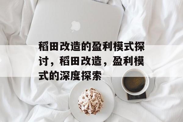 稻田改造的盈利模式探讨,稻田改造,盈利模式的深度探索 稻田改造的盈利模式探讨,稻田改造,盈利模式的深度探索
