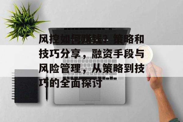 风控如何赚钱?策略和技巧分享,融资手段与风险管理,从策略到技巧的全面探讨 风控如何赚钱?策略和技巧分享,融资手段与风险管理,从策略到技巧的全面探讨