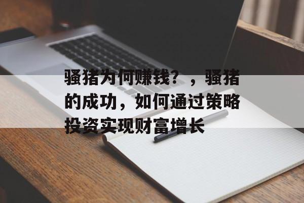 骚猪为何赚钱?,骚猪的成功,如何通过策略投资实现财富增长 骚猪为何赚钱?,骚猪的成功,如何通过策略投资实现财富增长