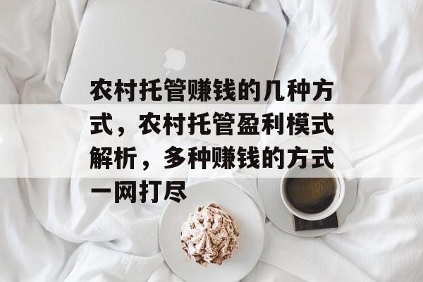 农村托管赚钱的几种方式,农村托管盈利模式解析,多种赚钱的方式一网打尽 农村托管赚钱的几种方式,农村托管盈利模式解析,多种赚钱的方式一网打尽