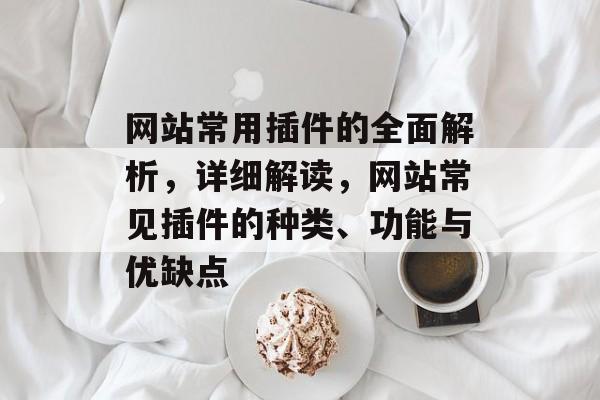 网站常用插件的全面解析,详细解读,网站常见插件的种类、功能与优缺点 网站常用插件的全面解析,详细解读,网站常见插件的种类、功能与优缺点