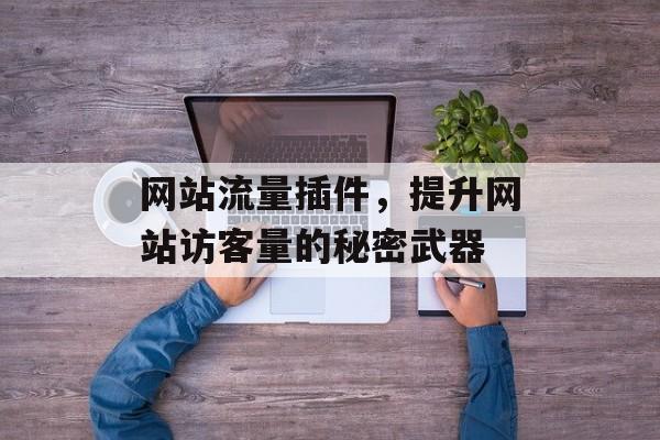 网站流量插件，提升网站访客量的秘密武器