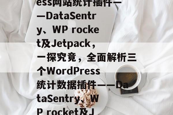 全面解析WordPress网站统计插件——DataSentry、WP rocket及Jetpack,一探究竟,全面解析三个WordPress统计数据插件——DataSentry、WP rocket及Jetpack 全面解析WordPress网站统计插件——DataSentry、WP rocket及Jetpack,一探究竟,全面解析三个WordPress统计数据插件——DataSentry、WP rocket及Jetpack