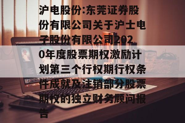 沪电股份:东莞证券股份有限公司关于沪士电子股份有限公司2020年度股票期权激励计划第三个行权期行权条件成就及注销部分股票期权的独立财务顾问报告 沪电股份:东莞证券股份有限公司关于沪士电子股份有限公司2020年度股票期权激励计划第三个行权期行权条件成就及注销部分股票期权的独立财务顾问报告