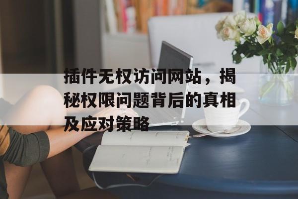插件无权访问网站,揭秘权限问题背后的真相及应对策略 插件无权访问网站,揭秘权限问题背后的真相及应对策略