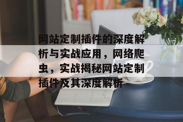 网站定制插件的深度解析与实战应用,网络爬虫,实战揭秘网站定制插件及其深度解析 网站定制插件的深度解析与实战应用,网络爬虫,实战揭秘网站定制插件及其深度解析