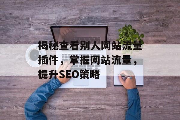 揭秘查看别人网站流量插件,掌握网站流量,提升SEO策略 揭秘查看别人网站流量插件,掌握网站流量,提升SEO策略