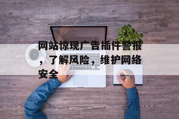 网站惊现广告插件警报,了解风险,维护网络安全 网站惊现广告插件警报,了解风险,维护网络安全
