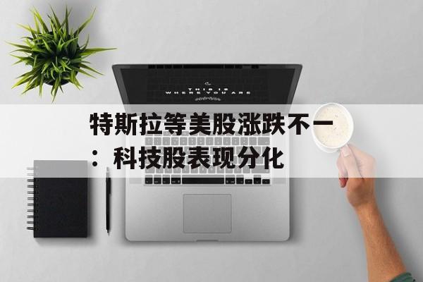特斯拉等美股涨跌不一:科技股表现分化 特斯拉等美股涨跌不一:科技股表现分化