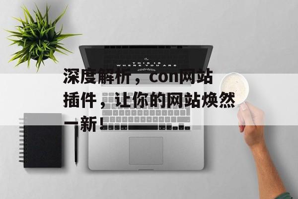 深度解析，con网站插件，让你的网站焕然一新！