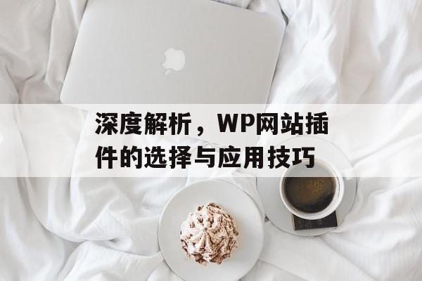 深度解析,WP网站插件的选择与应用技巧 深度解析,WP网站插件的选择与应用技巧