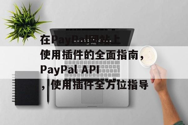 在PayPal网站上使用插件的全面指南,PayPal API,使用插件全方位指导 在PayPal网站上使用插件的全面指南,PayPal API,使用插件全方位指导
