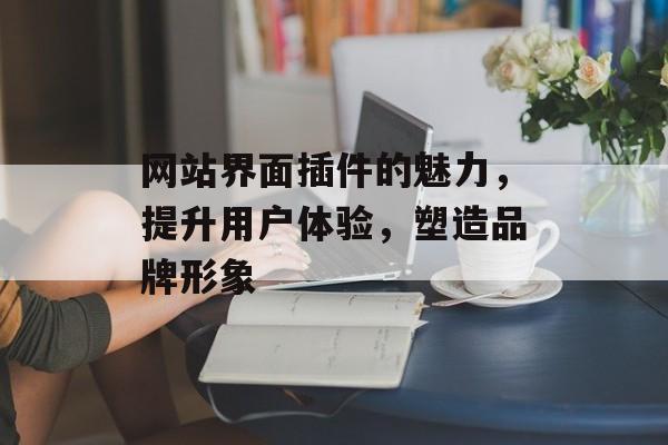 网站界面插件的魅力,提升用户体验,塑造品牌形象 网站界面插件的魅力,提升用户体验,塑造品牌形象