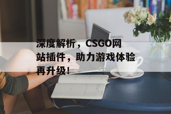 深度解析,CSGO网站插件,助力游戏体验再升级! 深度解析,CSGO网站插件,助力游戏体验再升级!