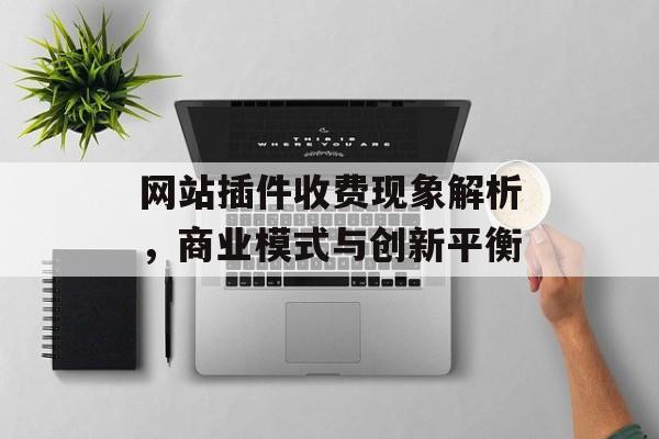 网站插件收费现象解析,商业模式与创新平衡 网站插件收费现象解析,商业模式与创新平衡