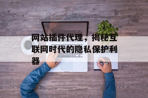 网站插件代理,揭秘互联网时代的隐私保护利器 网站插件代理,揭秘互联网时代的隐私保护利器