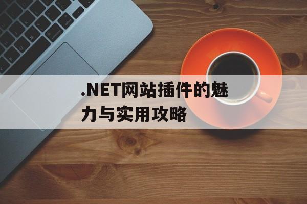 .NET网站插件的魅力与实用攻略 .NET网站插件的魅力与实用攻略