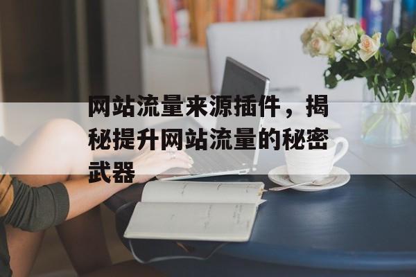 网站流量来源插件,揭秘提升网站流量的秘密武器 网站流量来源插件,揭秘提升网站流量的秘密武器