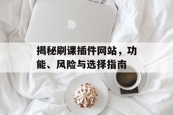 揭秘刷课插件网站,功能、风险与选择指南 揭秘刷课插件网站,功能、风险与选择指南