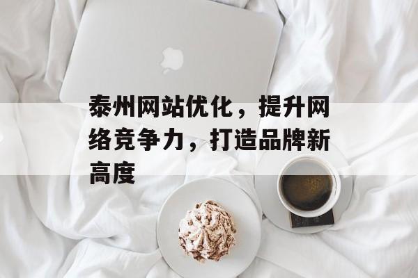泰州网站优化，提升网络竞争力，打造品牌新高度