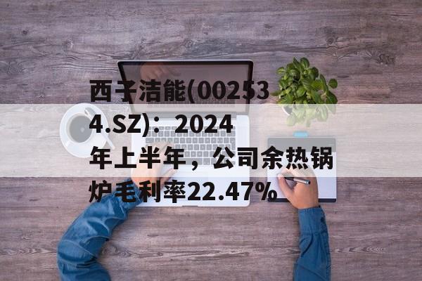 西子洁能(002534.SZ)：2024年上半年，公司余热锅炉毛利率22.47%