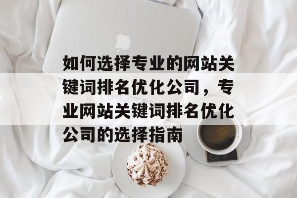 如何选择专业的网站关键词排名优化公司，专业网站关键词排名优化公司的选择指南