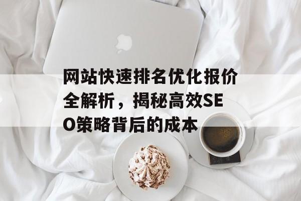 网站快速排名优化报价全解析，揭秘高效SEO策略背后的成本