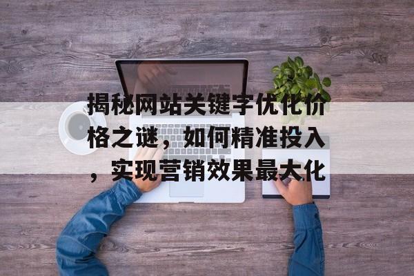 揭秘网站关键字优化价格之谜,如何精准投入,实现营销效果最大化 揭秘网站关键字优化价格之谜,如何精准投入,实现营销效果最大化