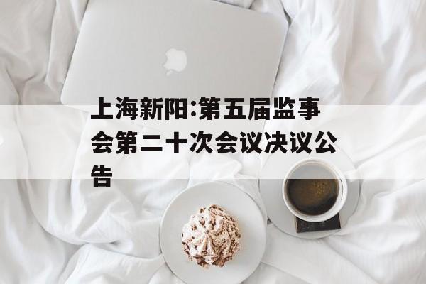 上海新阳:第五届监事会第二十次会议决议公告