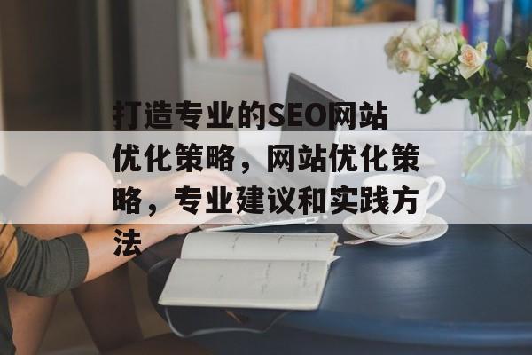 打造专业的SEO网站优化策略，网站优化策略，专业建议和实践方法
