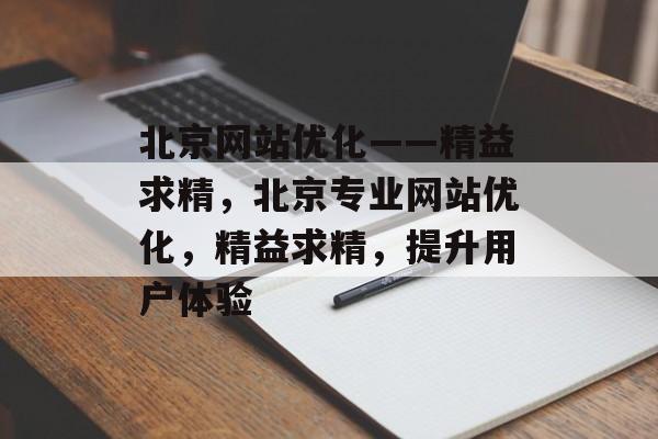 北京网站优化——精益求精，北京专业网站优化，精益求精，提升用户体验