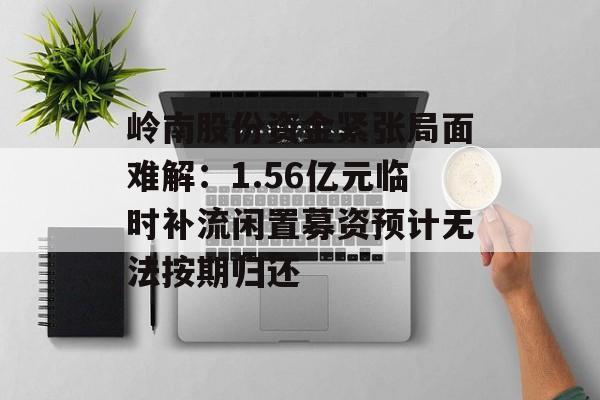 岭南股份资金紧张局面难解：1.56亿元临时补流闲置募资预计无法按期归还