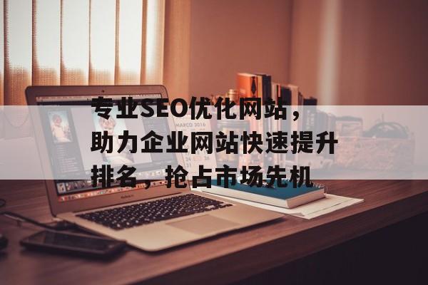 专业SEO优化网站，助力企业网站快速提升排名，抢占市场先机