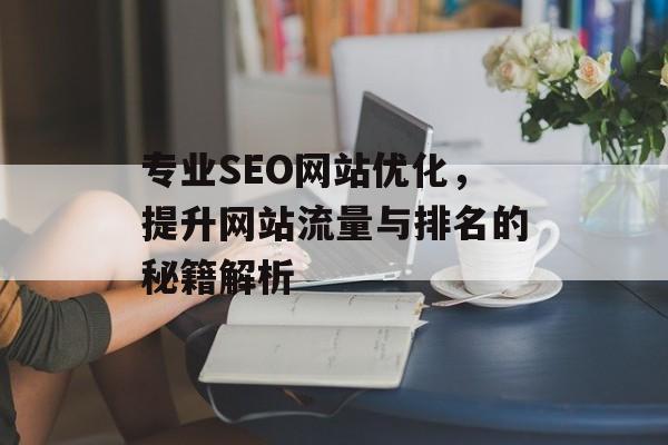专业SEO网站优化，提升网站流量与排名的秘籍解析