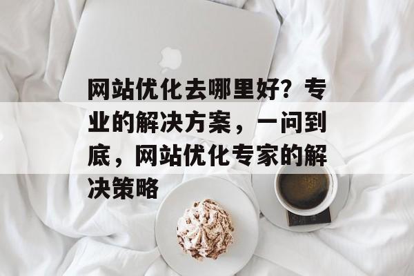 网站优化去哪里好？专业的解决方案，一问到底，网站优化专家的解决策略