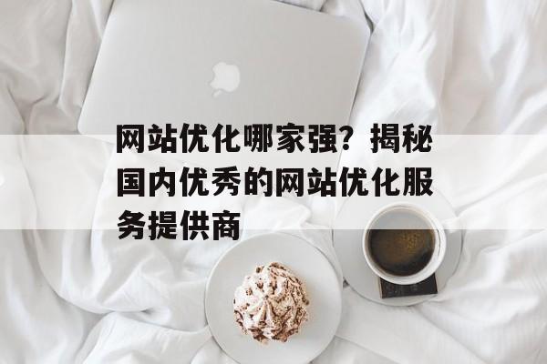 网站优化哪家强？揭秘国内优秀的网站优化服务提供商