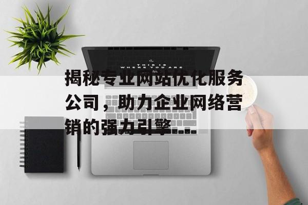 揭秘专业网站优化服务公司，助力企业网络营销的强力引擎