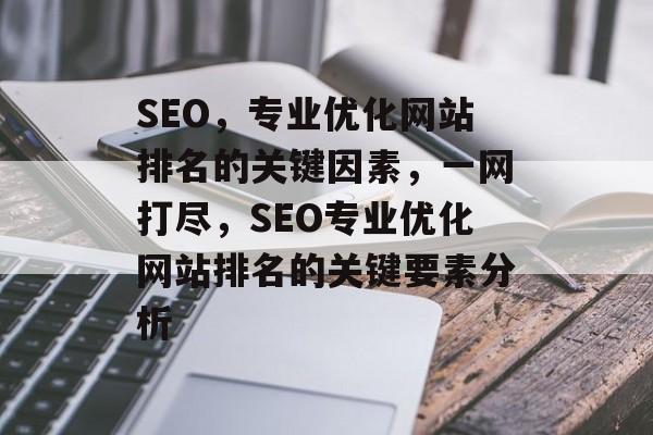 SEO，专业优化网站排名的关键因素，一网打尽，SEO专业优化网站排名的关键要素分析