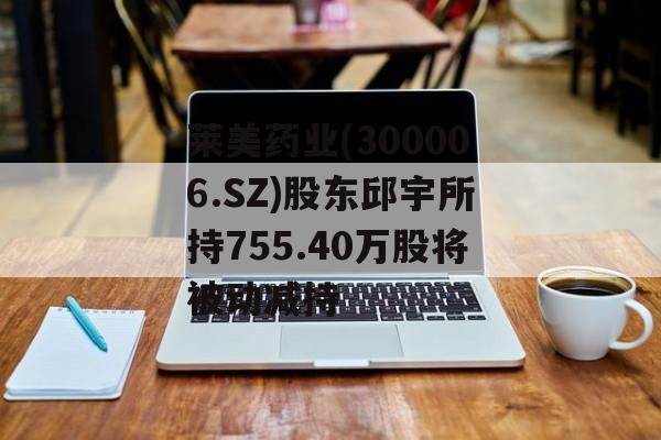 莱美药业(300006.SZ)股东邱宇所持755.40万股将被动减持 莱美药业(300006.SZ)股东邱宇所持755.40万股将被动减持