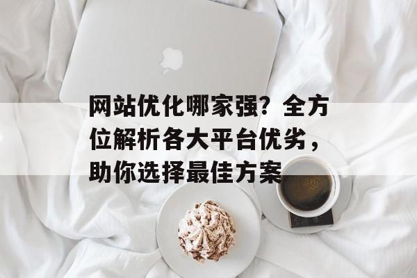网站优化哪家强？全方位解析各大平台优劣，助你选择最佳方案