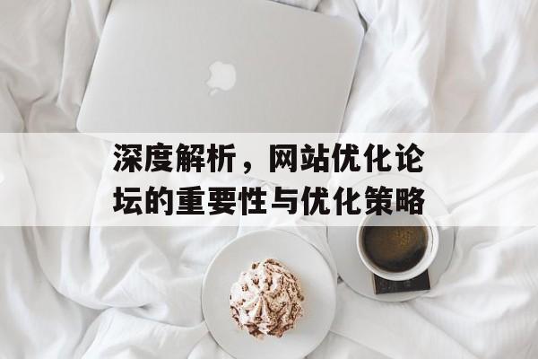 深度解析，网站优化论坛的重要性与优化策略